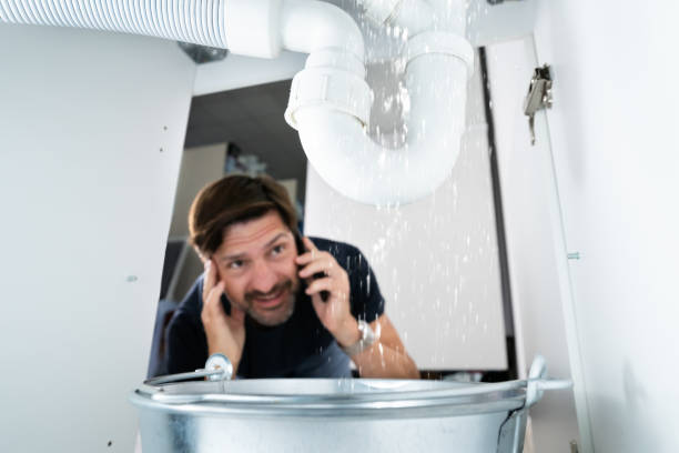 Best Plumbing Inspection Services  in Donaldsonville, LA